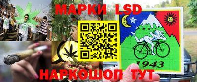 PSILOCYBIN Заволжье