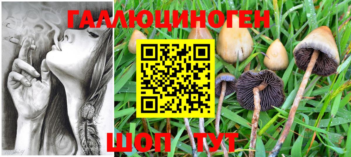 Псилоцибиновые грибы Psilocybine cubensis Мирный