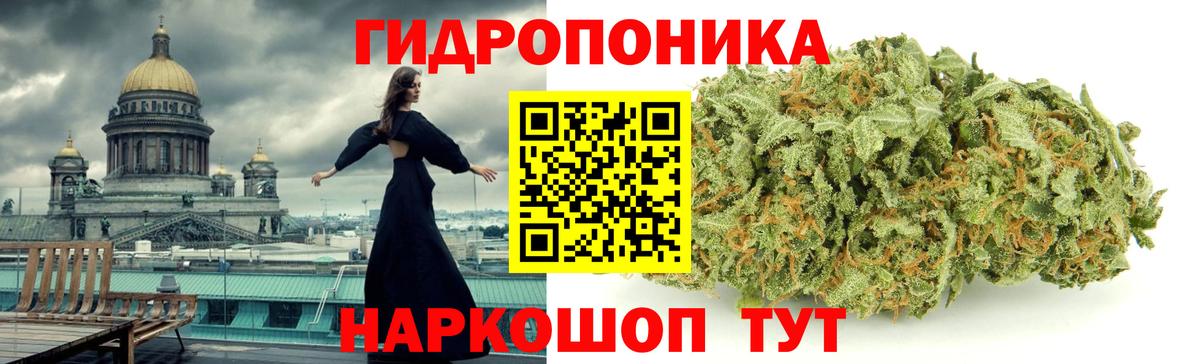 Бошки марихуана конопля  Бошки марихуана SATIVA & INDICA  Марихуана LSD WEED  Вход с VPN  Марихуана индика  Мирный 
